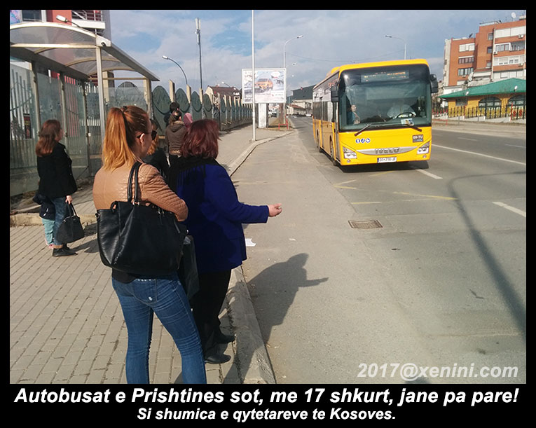 autobusat e prishtines pa pare